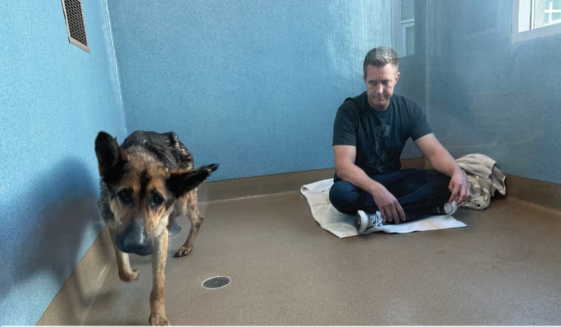 The Dog Who Chose Love: Macy’s Journey from Starvation to Safety